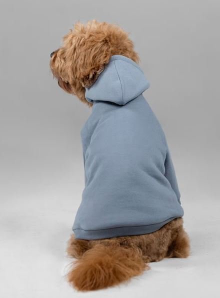 Buy Authentic Signature Paw Hoodie Luxury Streetwear Online